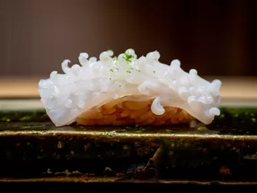 Sushi Fujiro 3